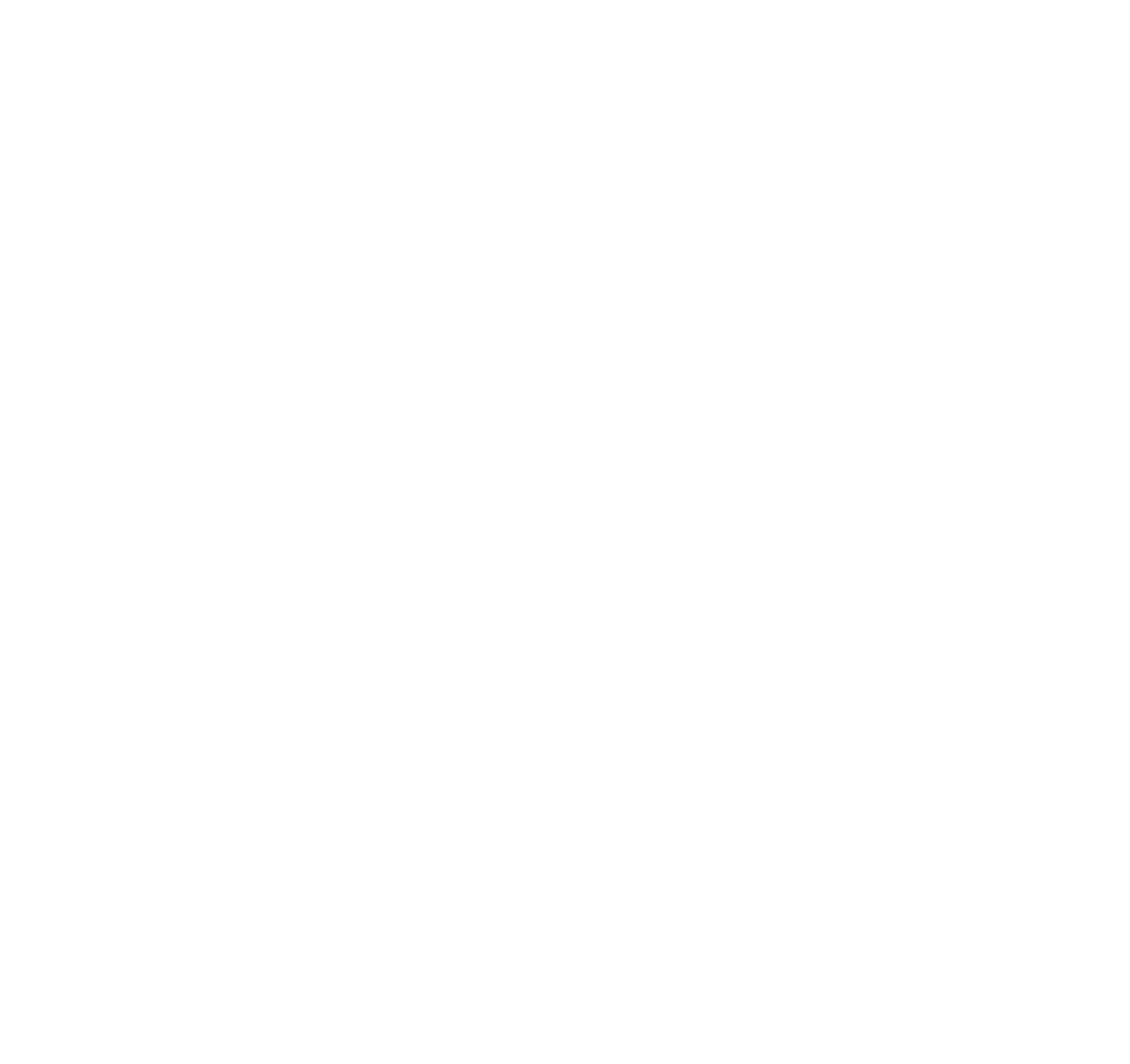 intelligencesolution.it